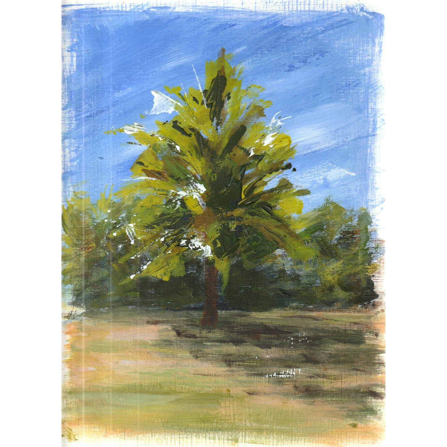 Apfelbaum Studien (3er)