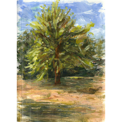 Apfelbaum Studien (3er)