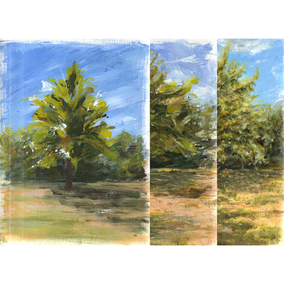 Apfelbaum Studien (3er)
